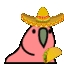 Sombrero Parrot